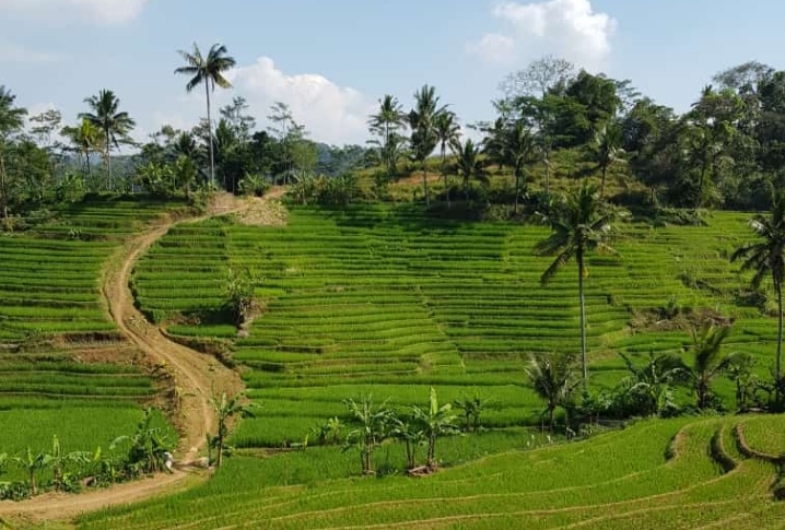 Indonesia merupakan negara agraris kegiatan pemanfaatan sumber daya alam yang bagus dilakukan adalah