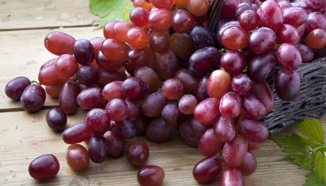 Manfaat buah anggur untuk kesehatan