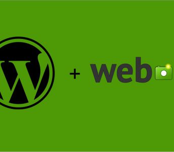 Wordpress support webp