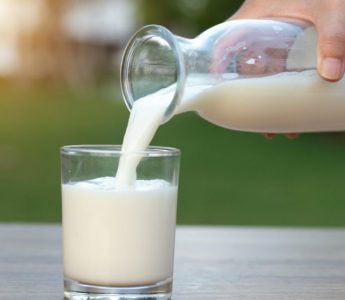 Minum Susu Kambing Sebelum atau Sesudah Makan