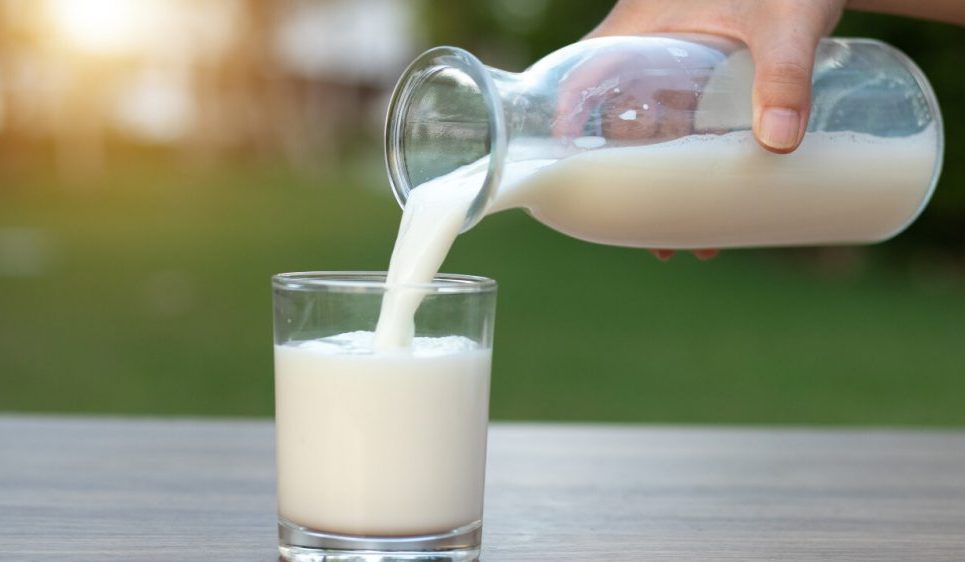 Minum Susu Kambing Sebelum atau Sesudah Makan